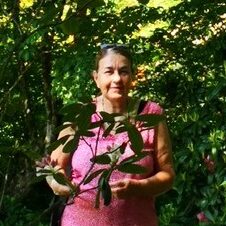 Ayurveda-Medizin, Annemarie Wagner-Zogg, Bassersdorf